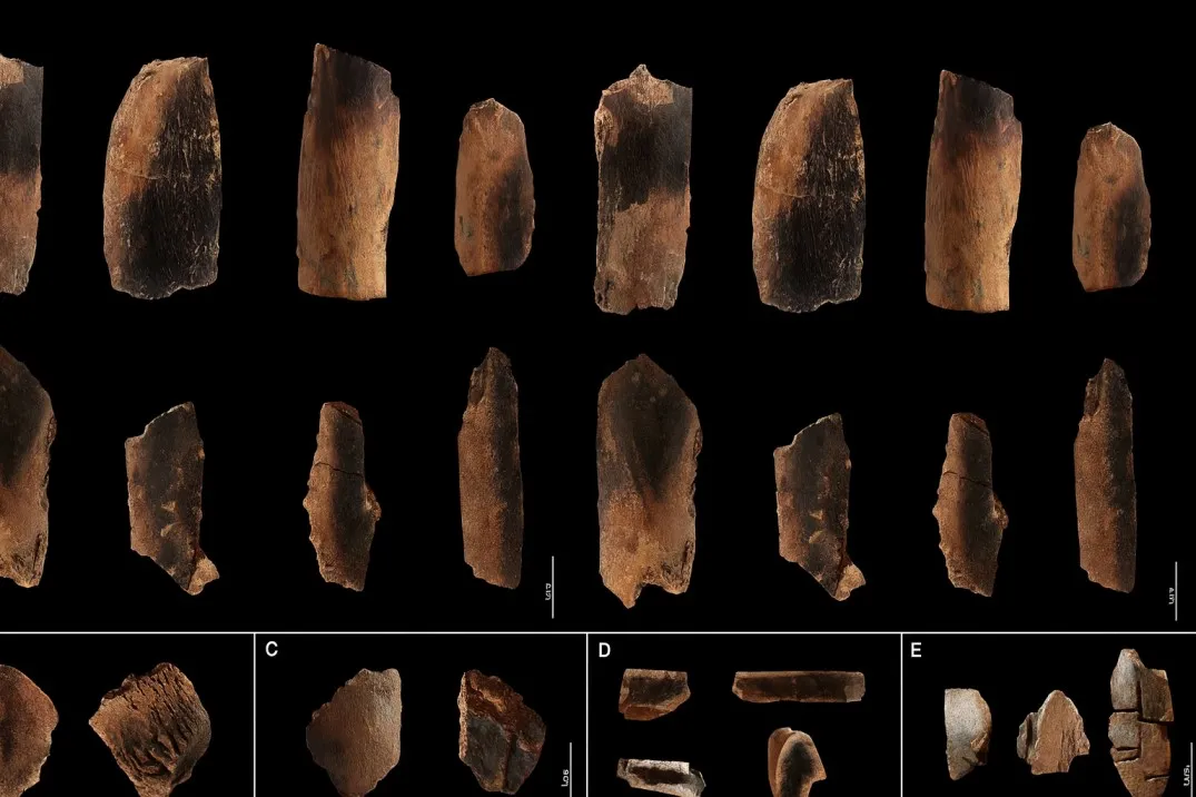 Early humans gathered around a controlled fire, illustrating evidence of fire use around one million years ago