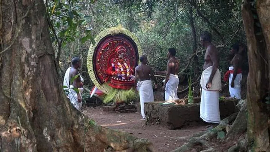 A sacred grove in India, now recognised as a deemed forest under a landmark Supreme Court ruling