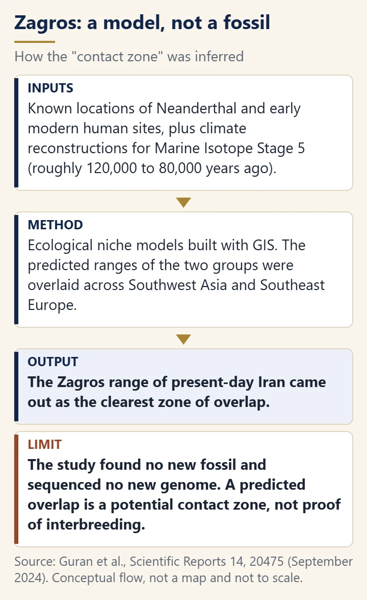 Flow diagram: known site locations and climate reconstructions feed ecological niche models whose overlap points to the Zagros Mountains as a potential contact zone, with a note that this is a model and not proof of interbreeding.