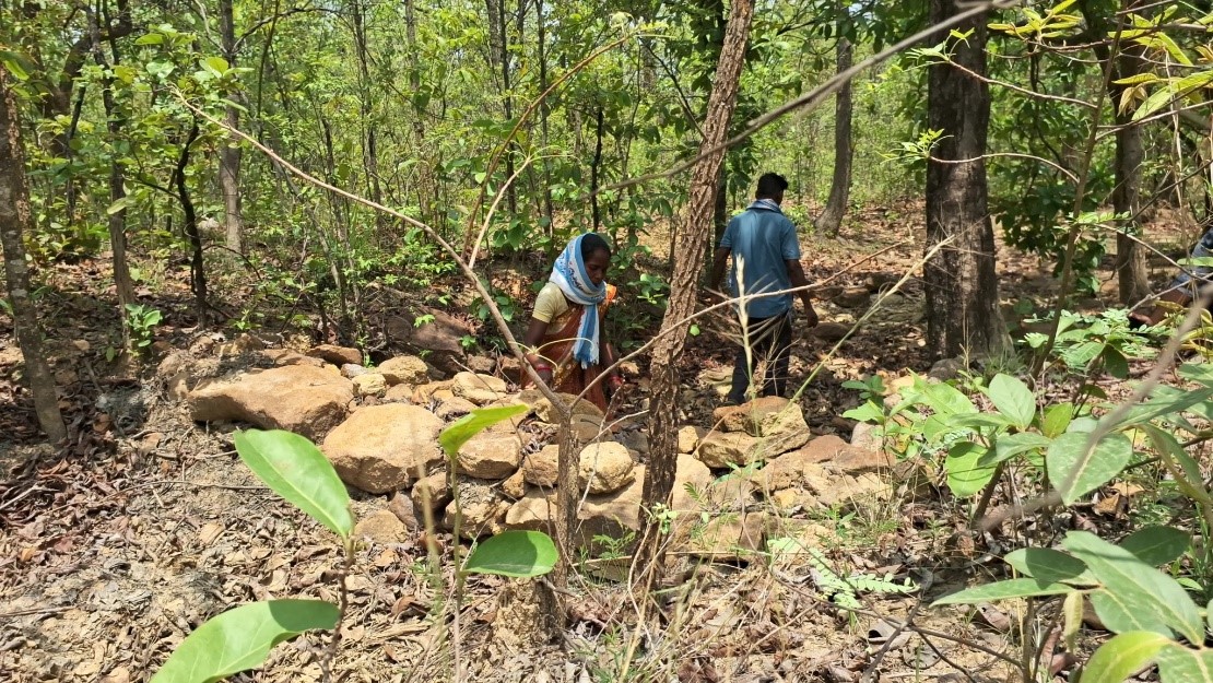 A tribal woman builds 35 stone dams by hand